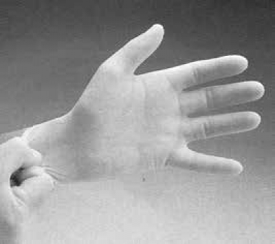 Latex Disposable Gloves