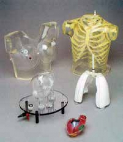 Anthropomorphic Phantoms for Nuclear Medicine